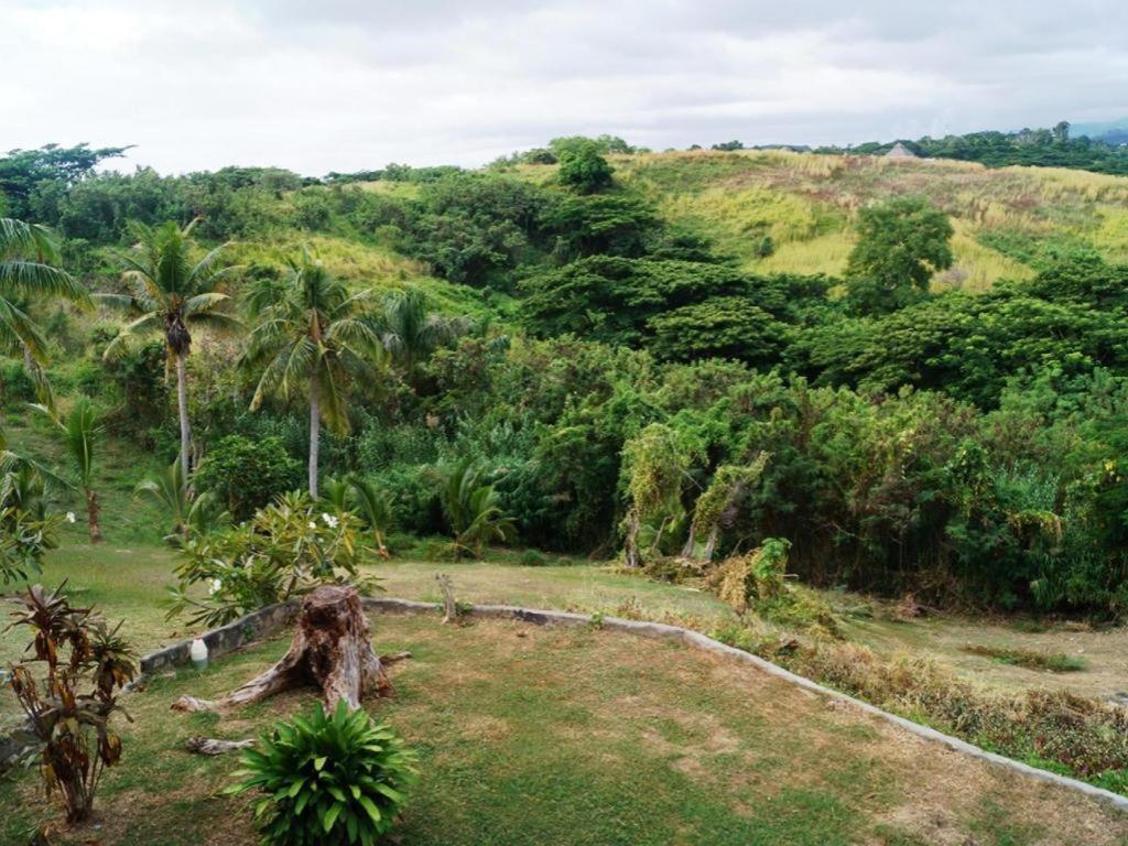 Anchorage Beach Resort Viseisei Luaran gambar