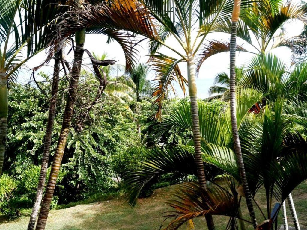 Anchorage Beach Resort Viseisei Luaran gambar